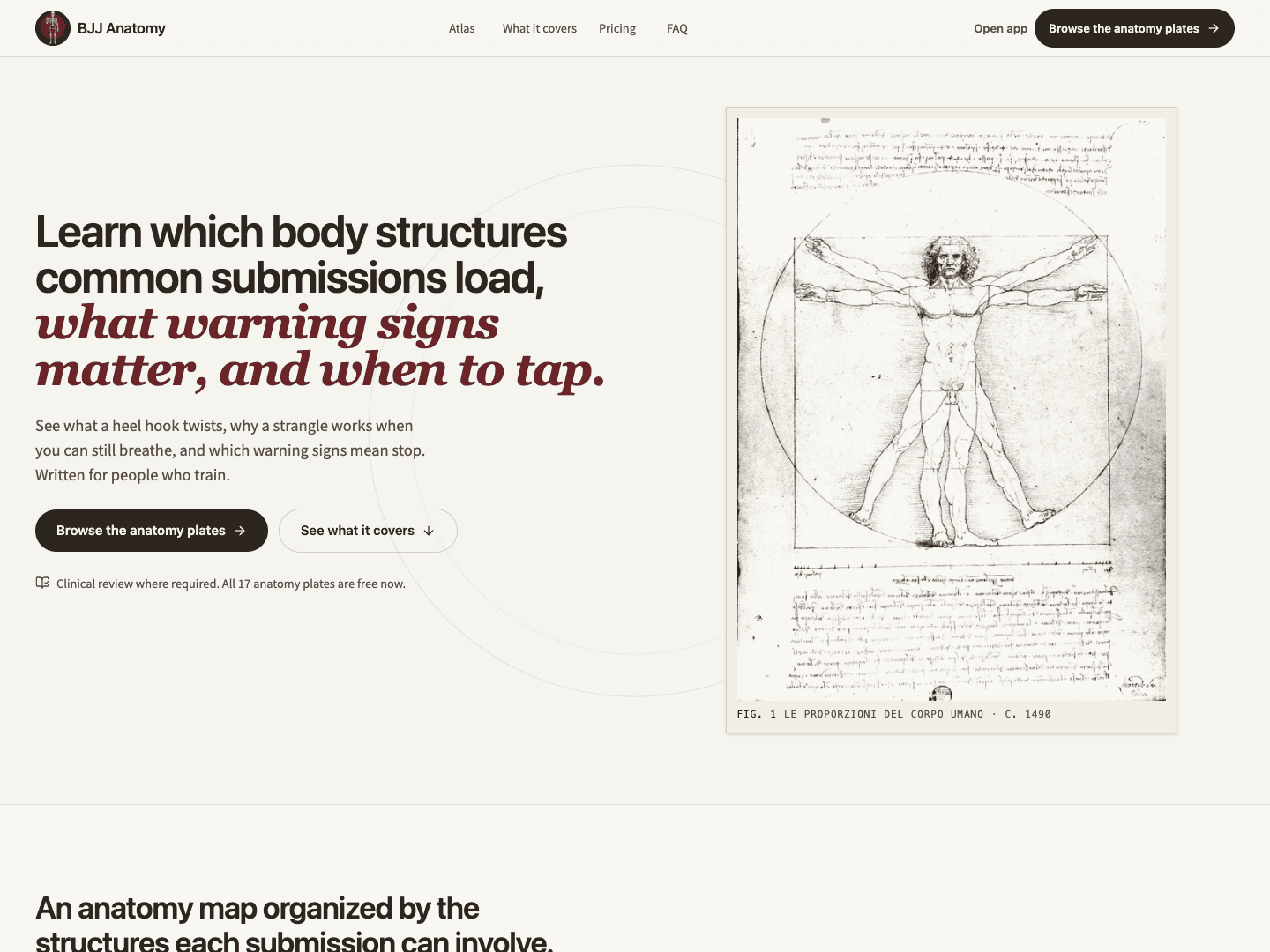 BJJ Anatomy preview